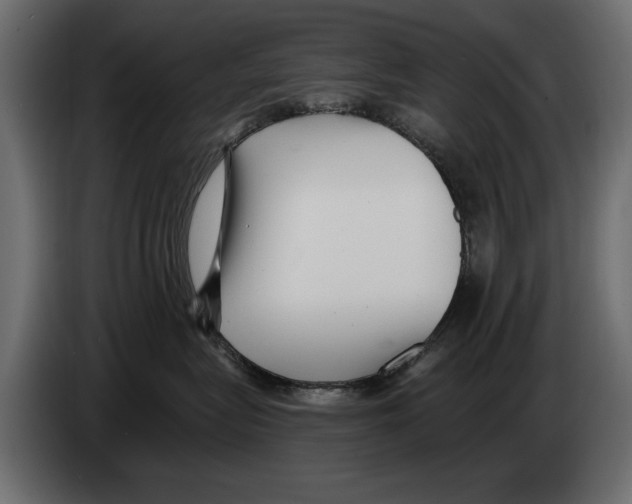 X0000082980575200703020259