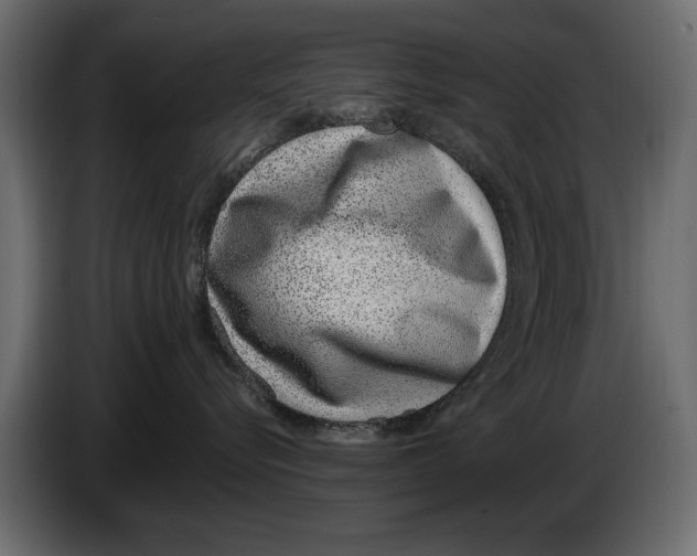 X0000082980576200703020259