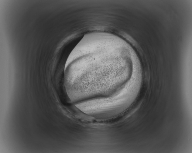 X0000082980577200703020259