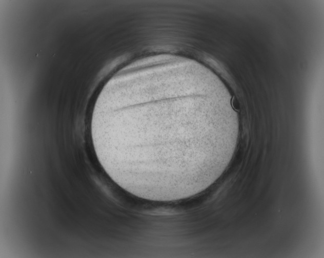 X0000082980578200703020259