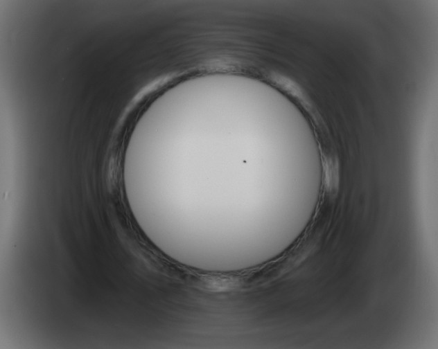 X0000082980579200703020259