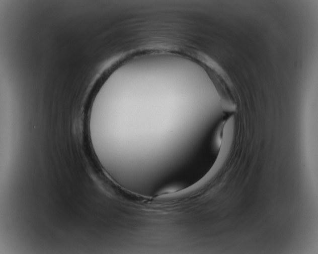 X0000082980580200703020259