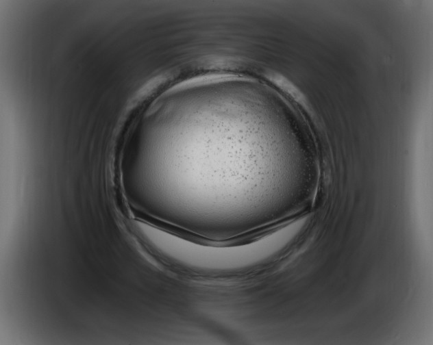 X0000082980581200703020259