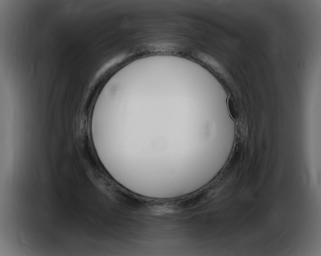 X0000082980583200703020259