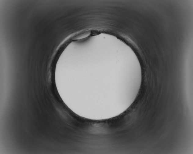 X0000082980584200703020258