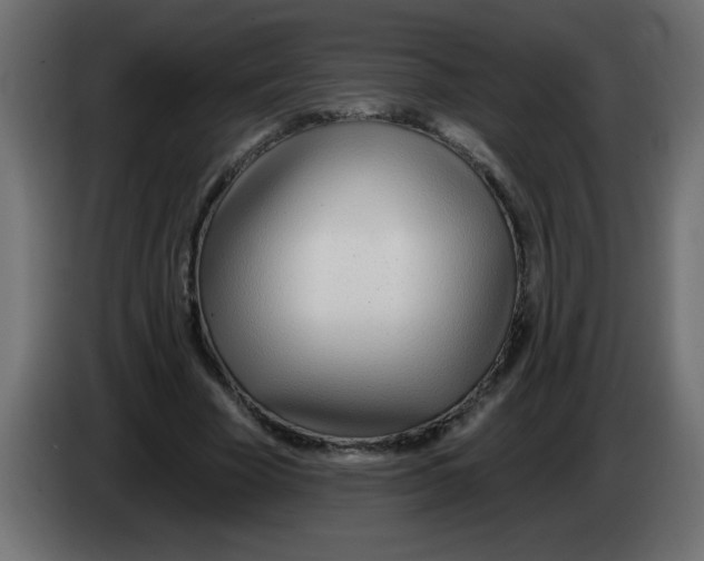 X0000082980585200703020258