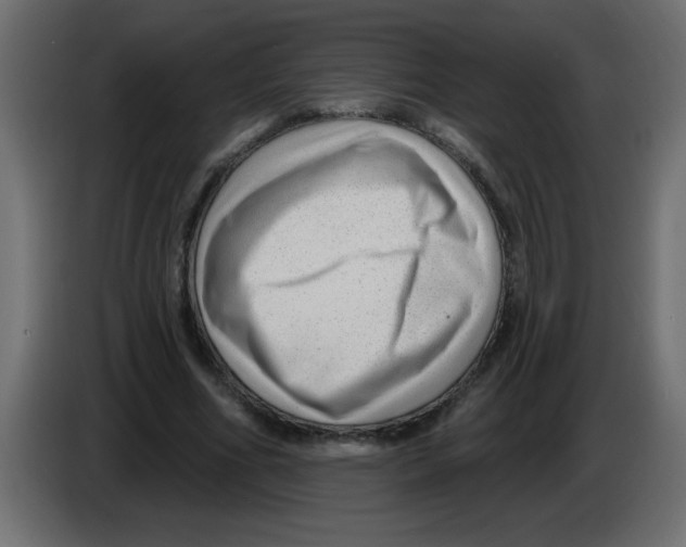 X0000082980586200703020258