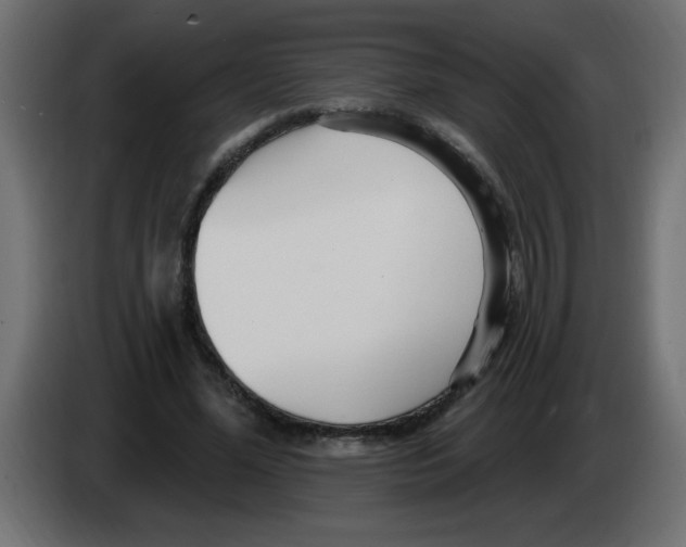 X0000082980588200703020258