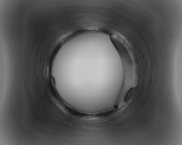 X0000082980589200703020258