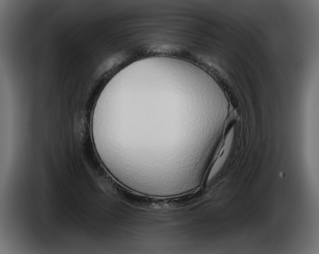 X0000082980591200703020258