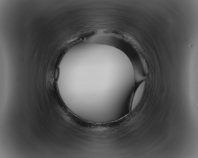 X0000082980593200703020258