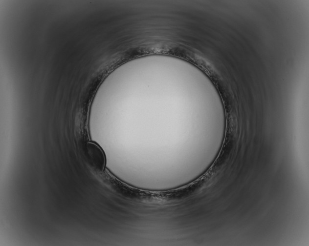 X0000082980594200703020258