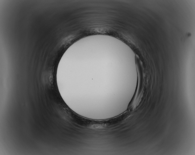 X0000082980595200703020258