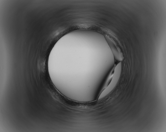 X0000082980596200703020258