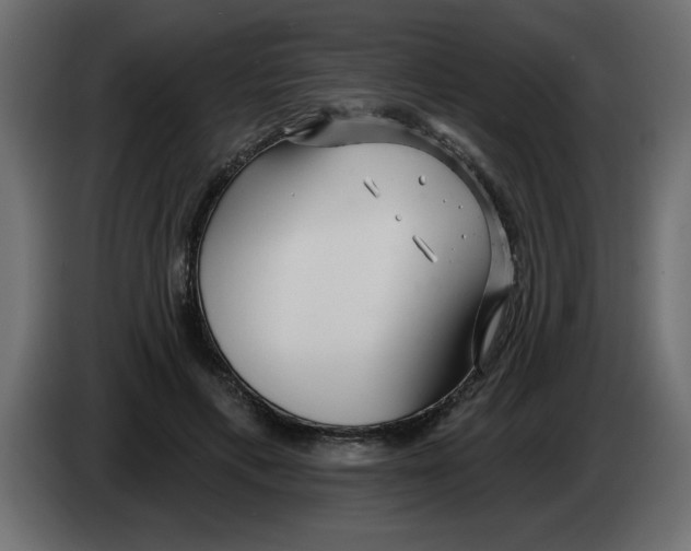 X0000082980597200703020258