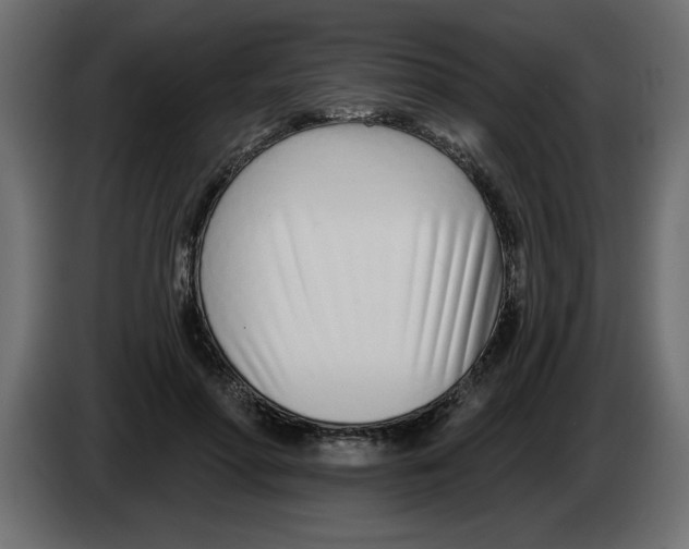 X0000082980598200703020258