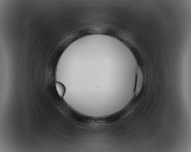 X0000082980599200703020258