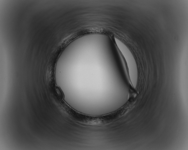 X0000082980600200703020258