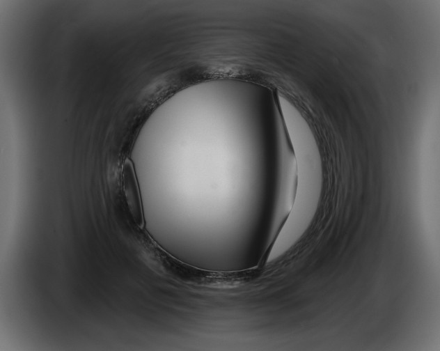 X0000082980601200703020258