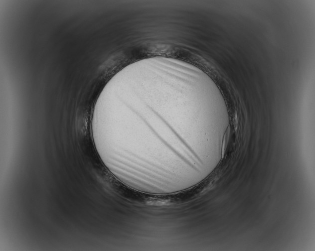 X0000082980602200703020258