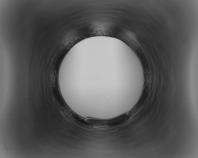 X0000082980603200703020258