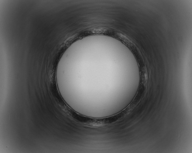 X0000082980604200703020258