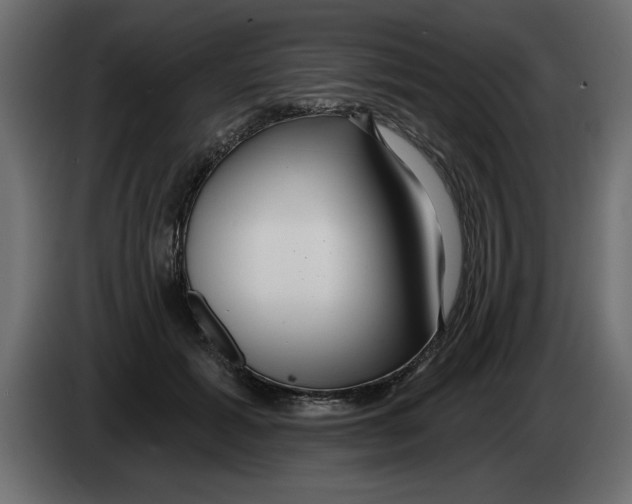 X0000082980605200703020258