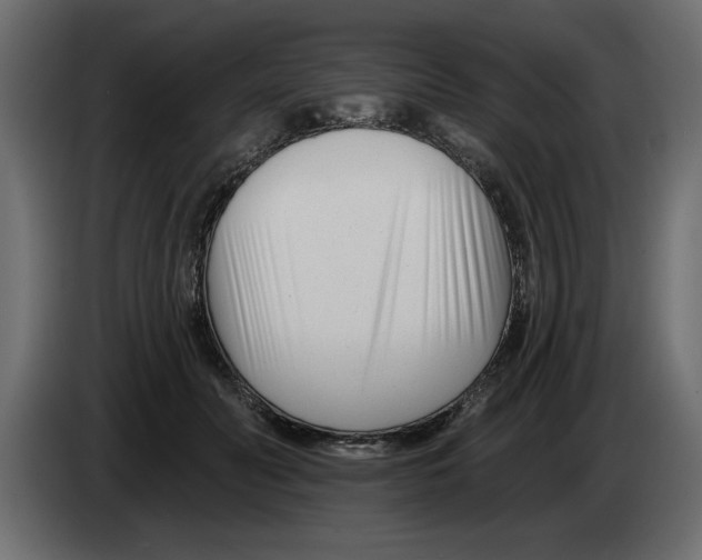 X0000082980606200703020258