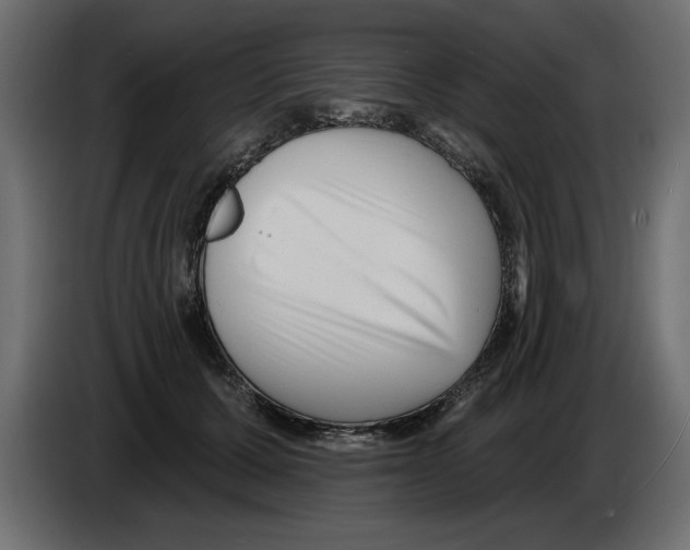 X0000082980607200703020258