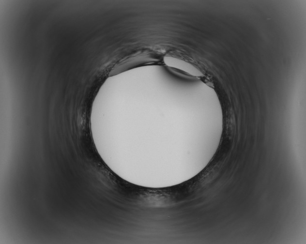 X0000082980608200703020258