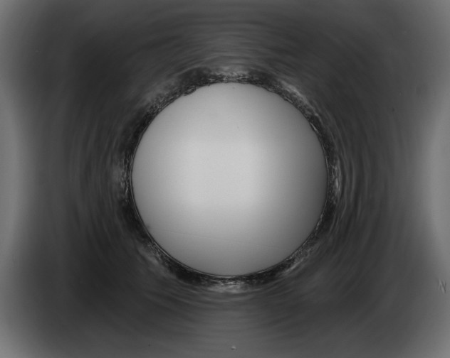 X0000082980609200703020258