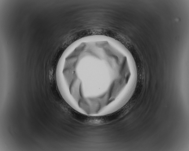 X0000082980610200703020258