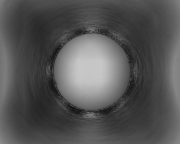 X0000082980611200703020258