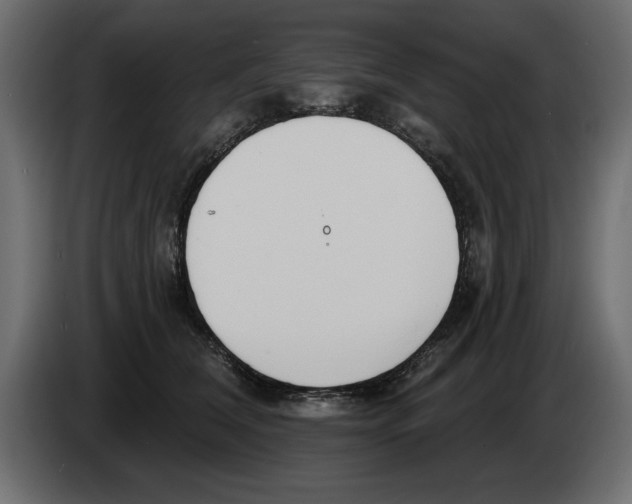 X0000082980612200703020258