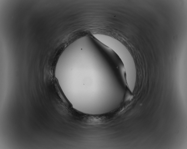 X0000082980613200703020258