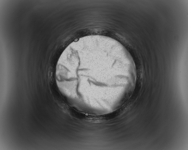 X0000082980615200703020258