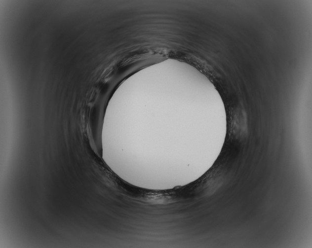 X0000082980616200703020258