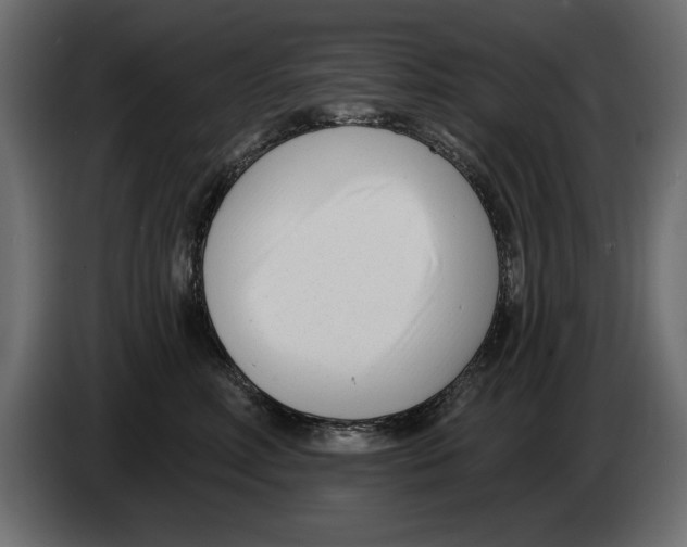 X0000082980618200703020258