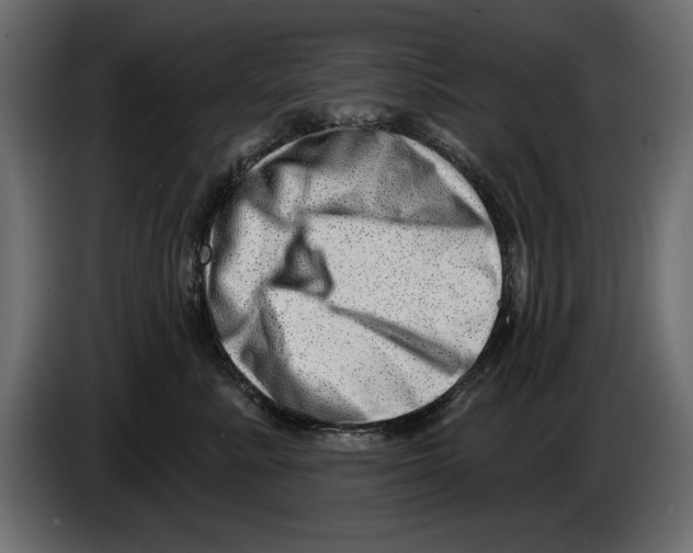 X0000082980619200703020258