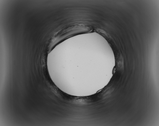 X0000082980620200703020258