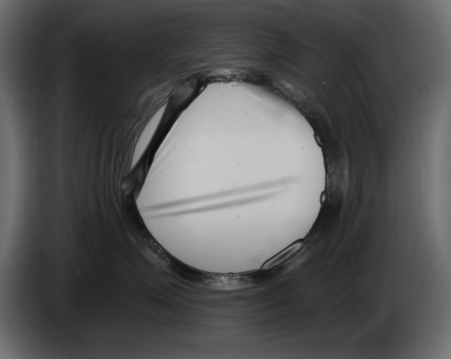 X0000082980623200703020258