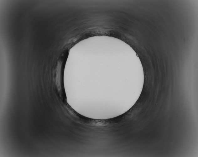 X0000082980624200703020258