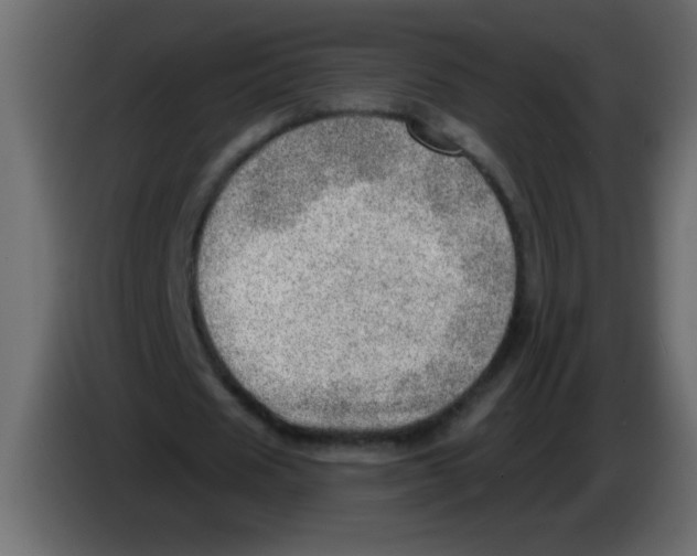 X0000082980625200703020257