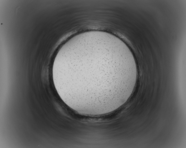 X0000082980626200703020257