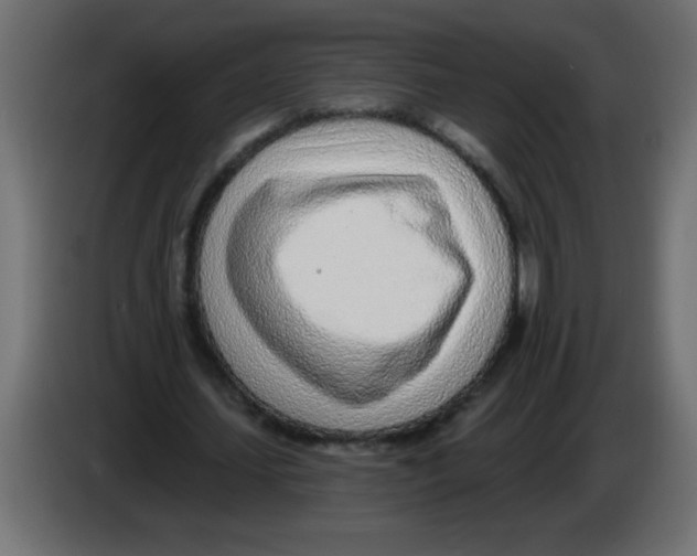 X0000082980627200703020257