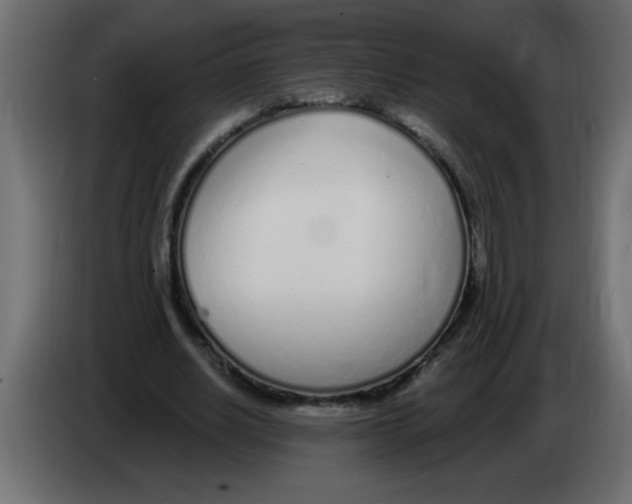 X0000082980630200703020257