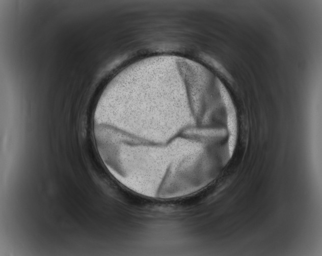 X0000082980631200703020257