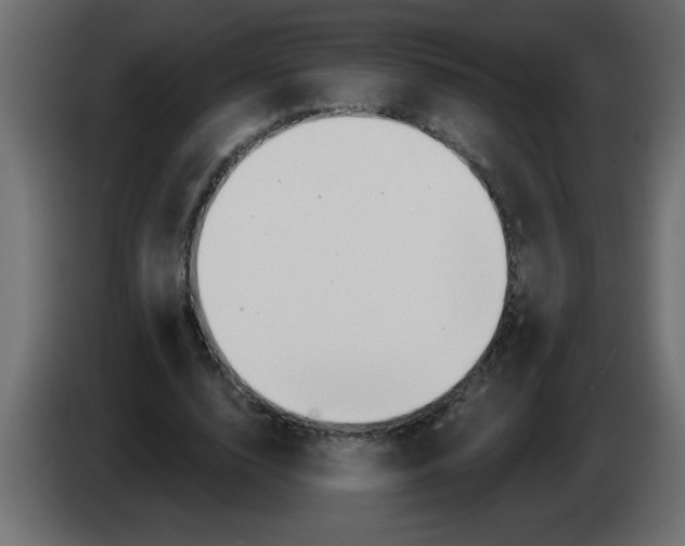 X0000082980632200703020257