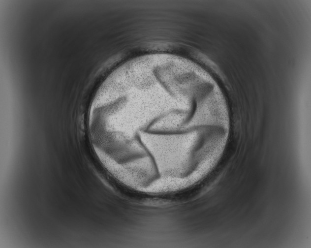 X0000082980633200703020257