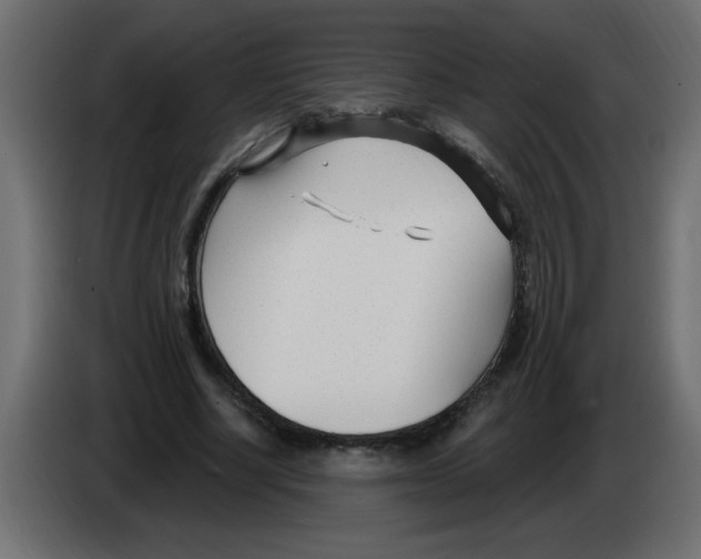 X0000082980634200703020257